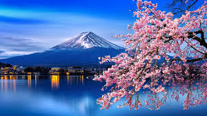 Japan Cherry Blossom Tour